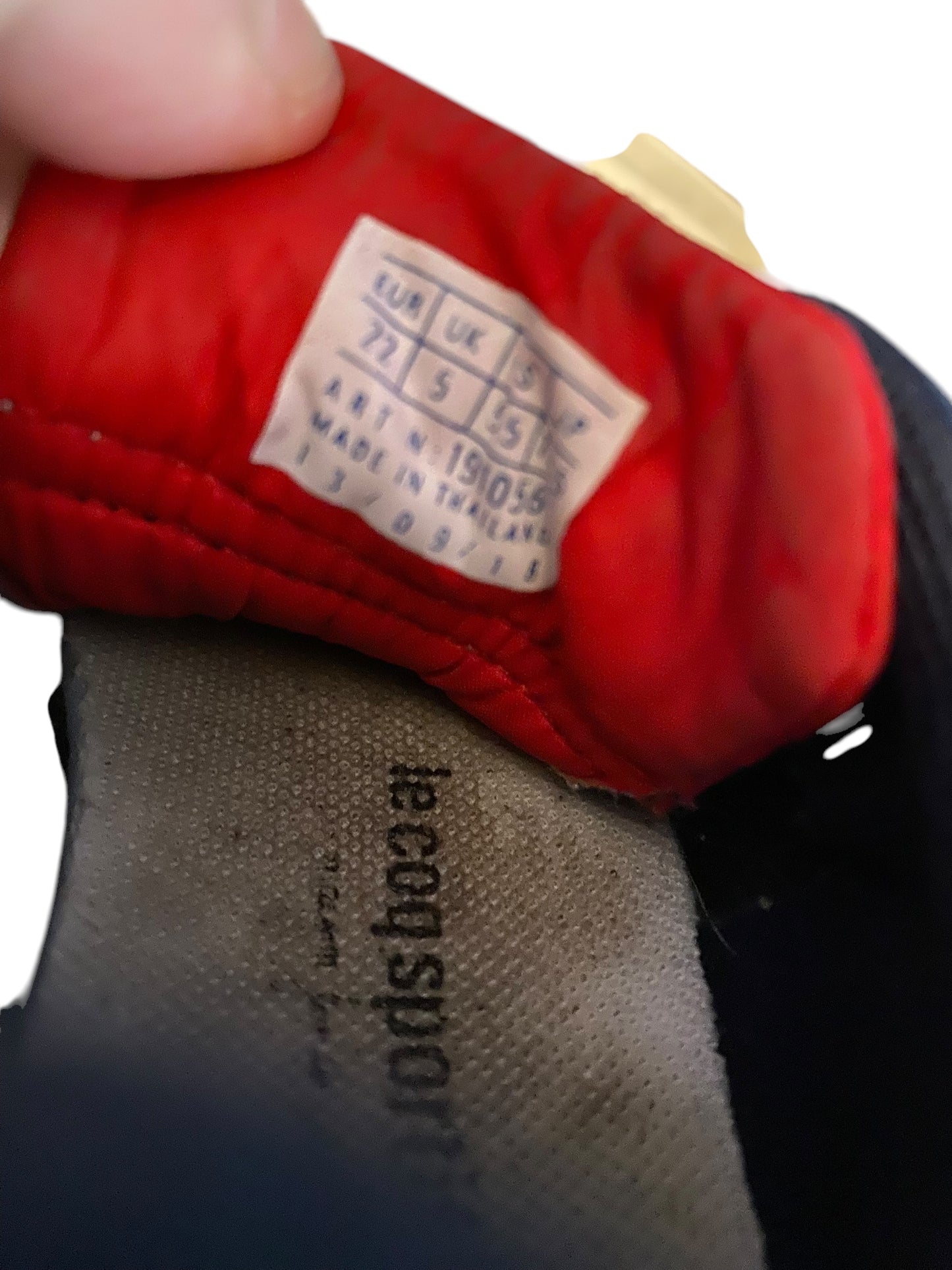 Basket 22