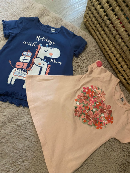 Lot 2 tuniques manches courtes – 6 mois