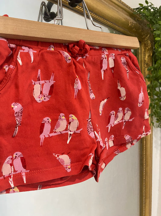 Short perruche 2 ans / 4 ans