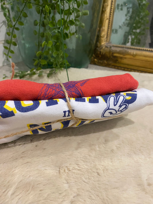 Lot de 2 bodies bébé – 6 mois – ABSORBA