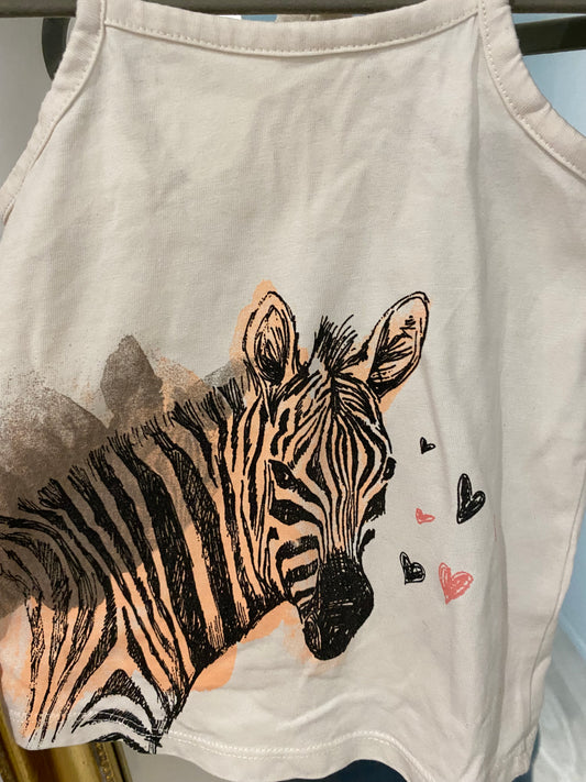 Ensemble zèbre 4 Ans