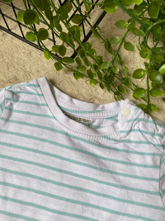 Lot 2 t shirt manches courtes 12 M