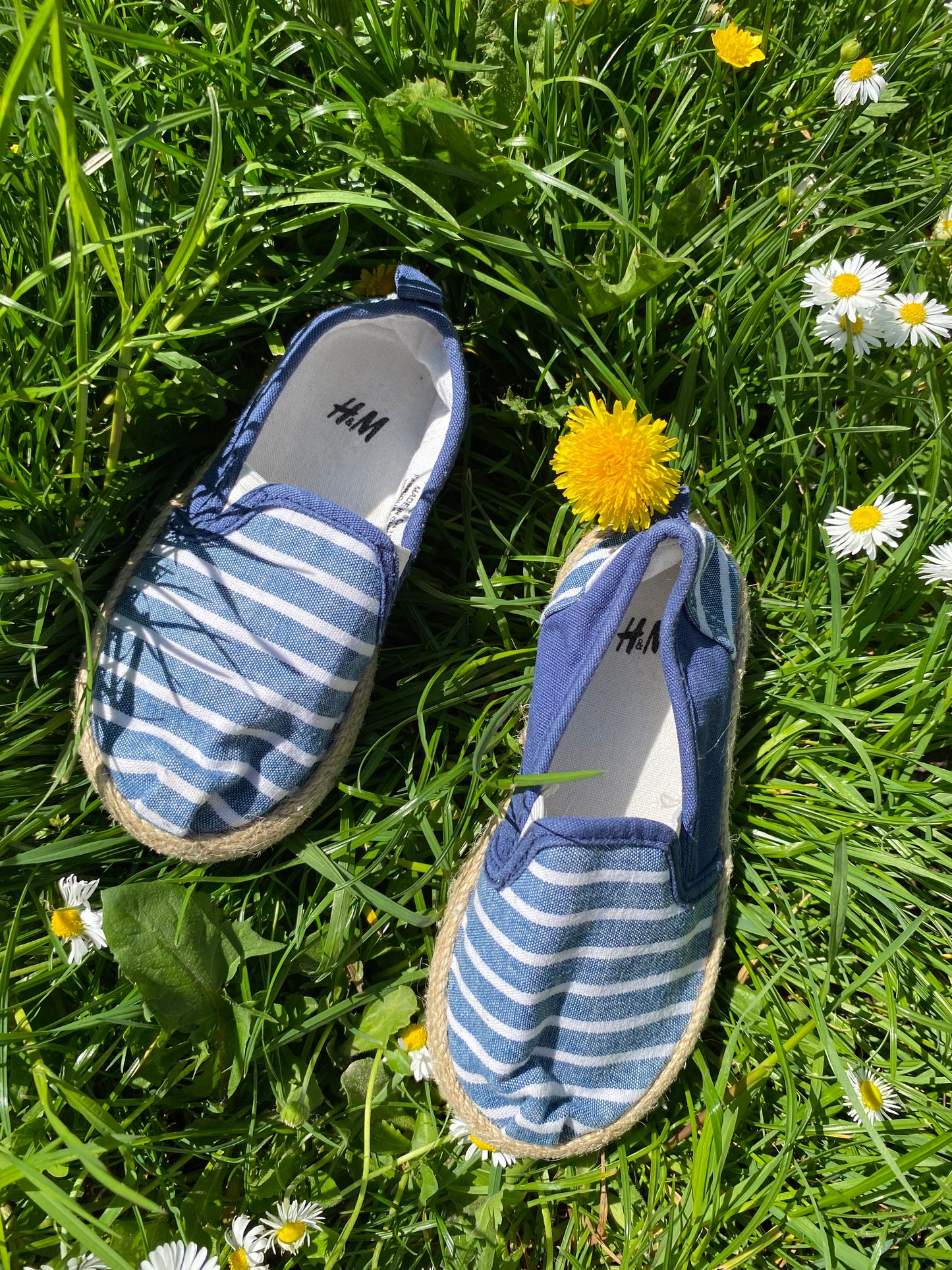 Espadrille 26