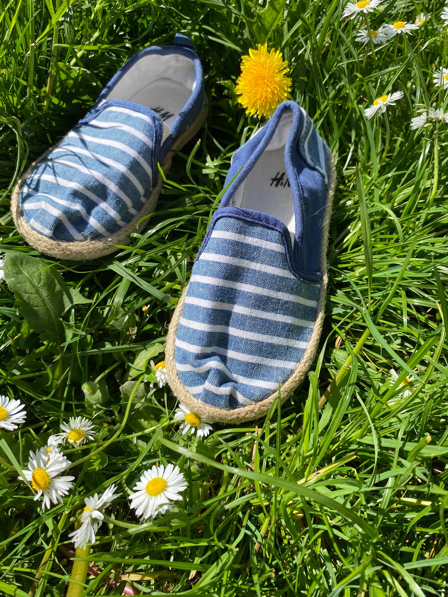 Espadrille 26
