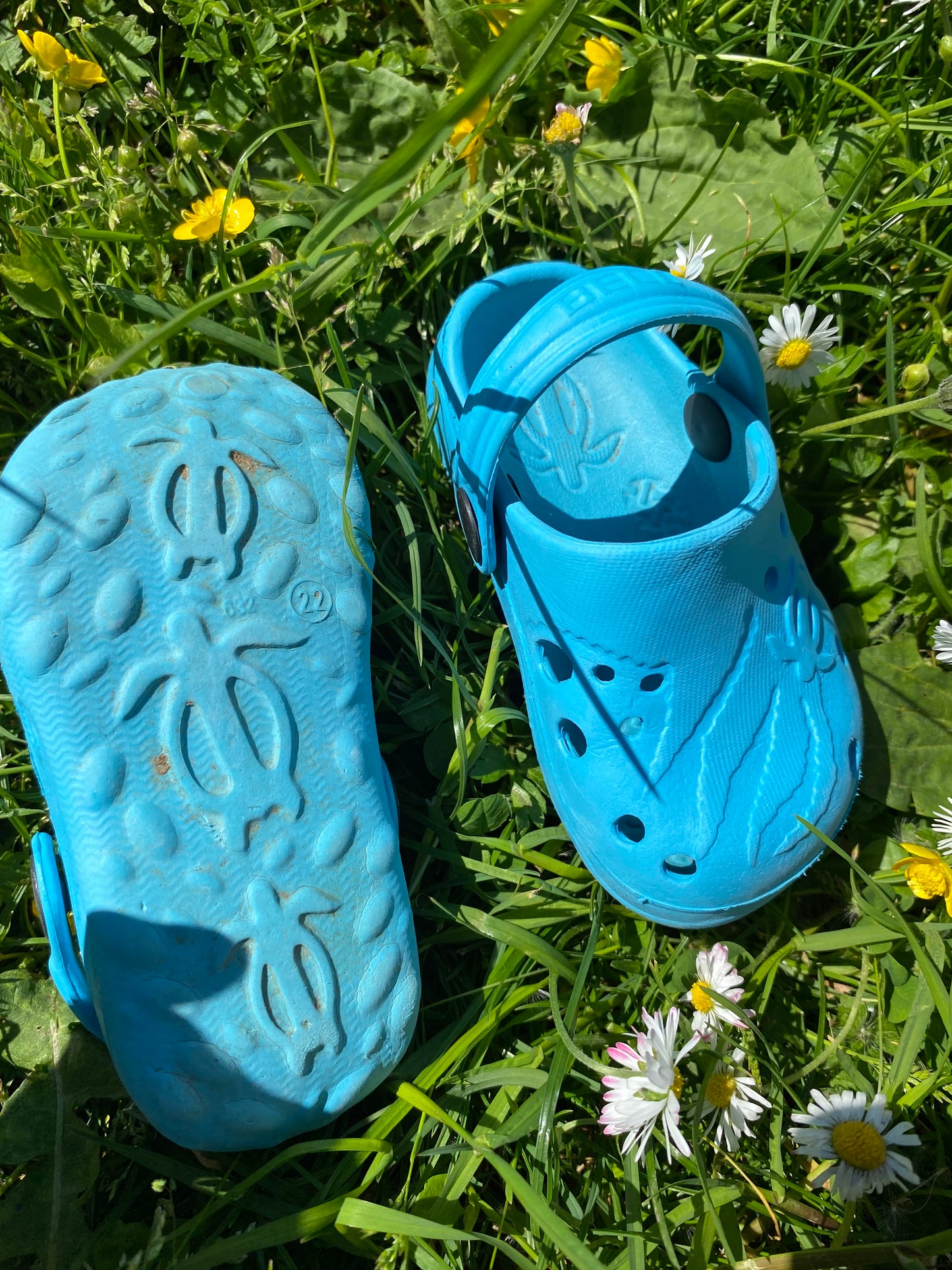 Crocs 23