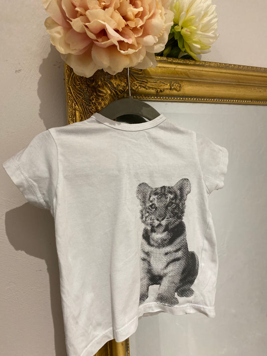T shirt tigre 9 mois
