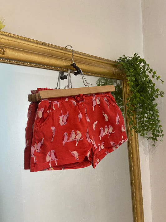 Short perruche 2 ans / 4 ans