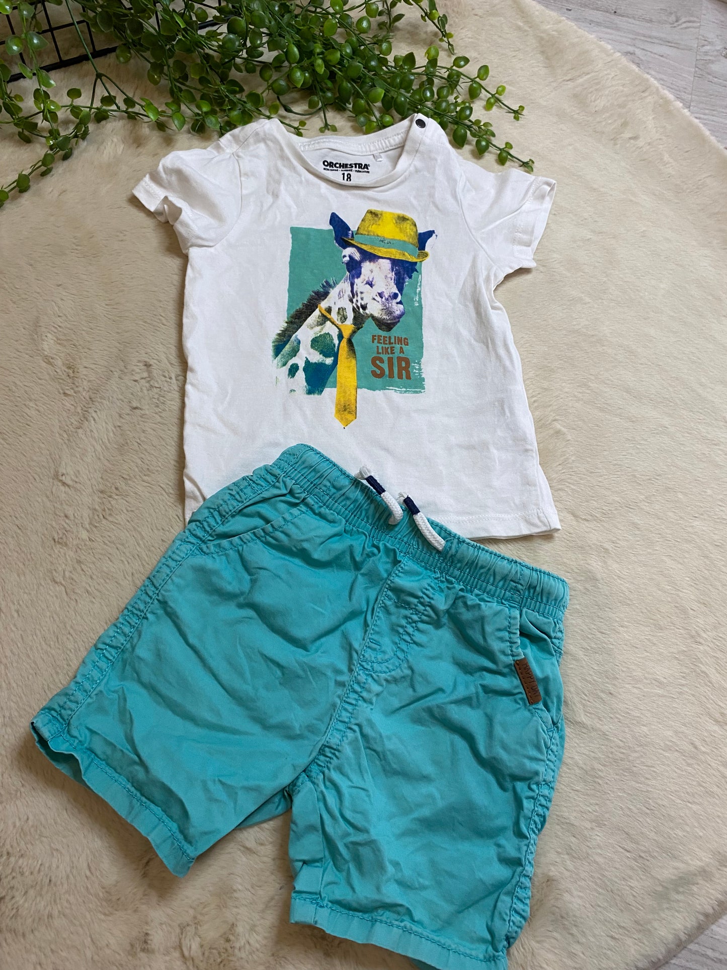 Short turquoise 18 M